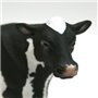 Vaca frisona de manchas negras (Bos primigenius)