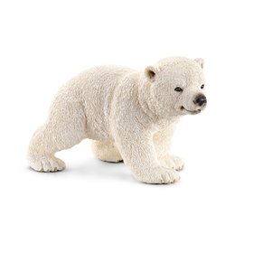 Cría de oso polar, corriendo (Ursus maritimus)