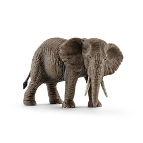 Elefante africano hembra