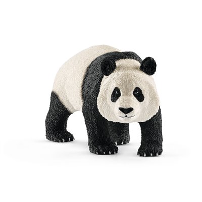 Oso Panda gigante (Ailuropoda melanoleuca)