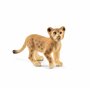 Cachorro de león (Panthera leo)