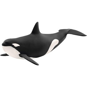 Orca Ballena Asesina