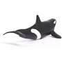 Orca Ballena Asesina
