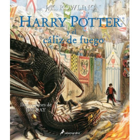 HARRY POTTER IV Y EL CALIZ DE FUEGO ILUSTRADO