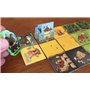 KINGDOMINO AGE OF GIANTS