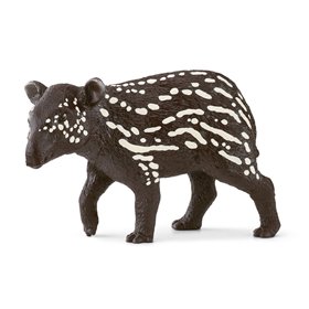 Tapir macho